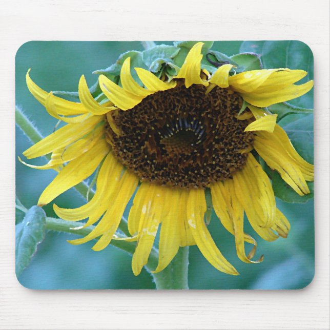 Sonnenblume 2 mousepad (Vorne)