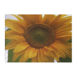 Sonnenblume-Acrylwand-Foto Acryldruck