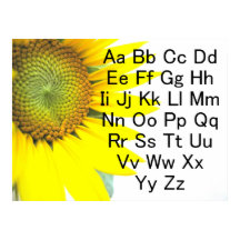 Sonnenblume Alphabet Chart Poster