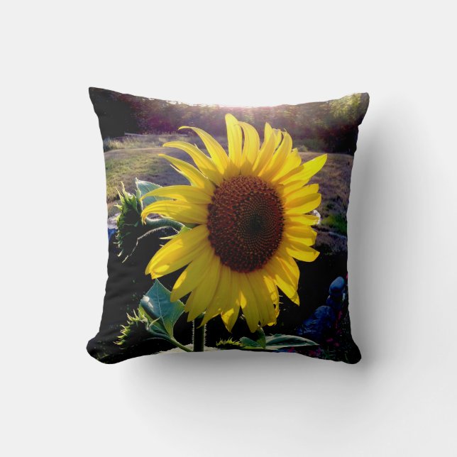 Sonnenblume am Sonnenuntergang --- Kissen (Vorderseite)