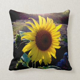 Sonnenblume am Sonnenuntergang --- Kissen