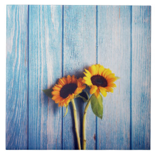 Sonnenblume an der blauen Holzwand Fliese