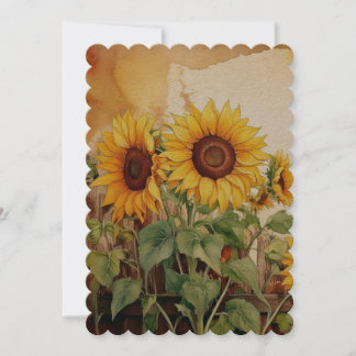 Sonnenblume Ankündigung