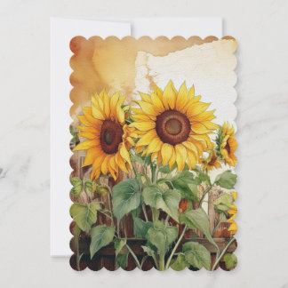 Sonnenblume Ankündigung