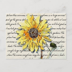 Sonnenblume Aquarellmalerei im Vintage-Stil Postkarte