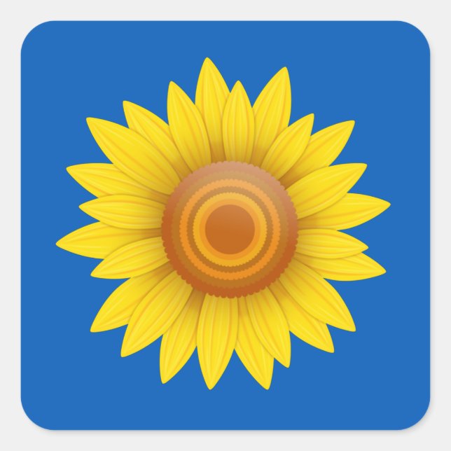Sonnenblume auf blau quadratischer aufkleber (Vorderseite)