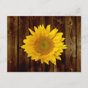 Sonnenblume auf dem Vintagen Land des Stallholzes Postkarte