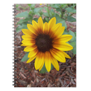 Sonnenblume auf einem Notizbuch Notizblock