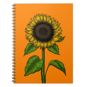 Sonnenblume auf Orange Notizblock