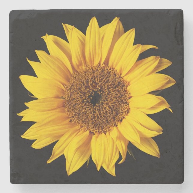 Sonnenblume auf schwarze steinuntersetzer (Vorderseite)