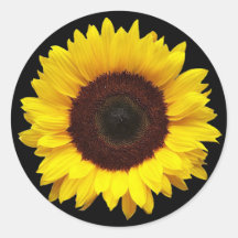 Sonnenblume auf schwarzen, runden Geschenkklebern