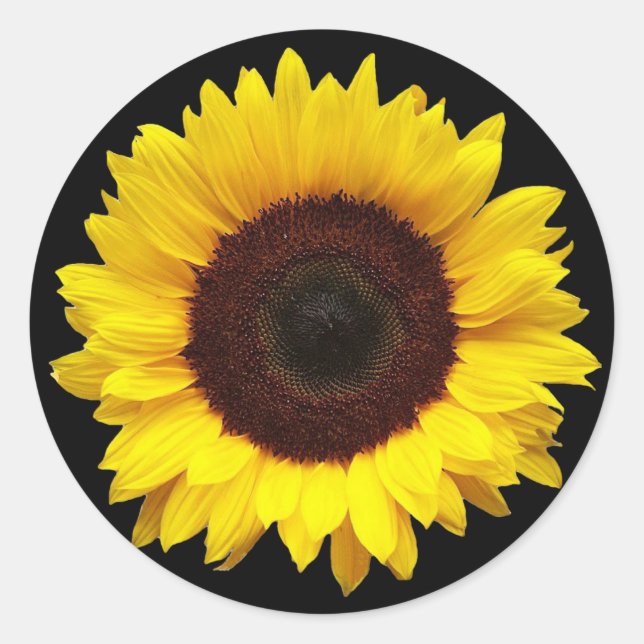 Sonnenblume auf schwarzen, runden Geschenkklebern Runder Aufkleber (Vorderseite)