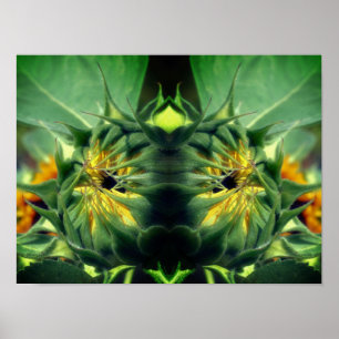 Sonnenblume Auffaltender Spiegel Blumenkunst Poster