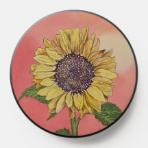 Sonnenblume bei Sonnenuntergang