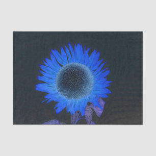 Sonnenblume Blau Lila Schwarz Einzel Rustikal Pop Seidenpapier