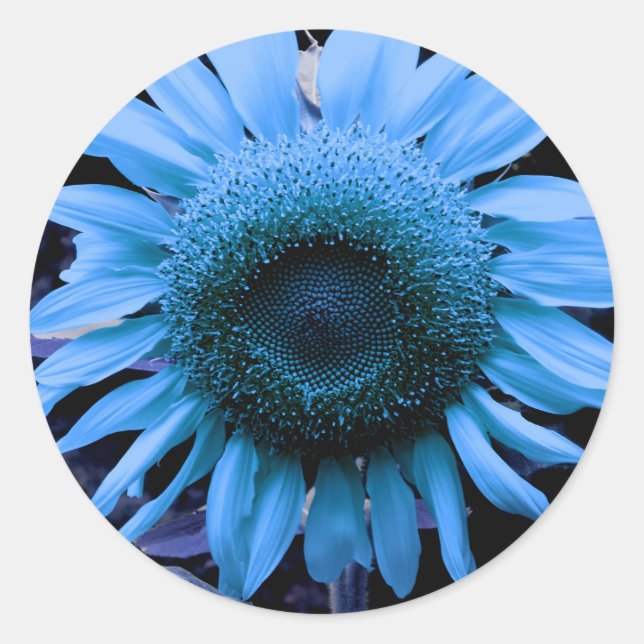 Sonnenblume, blaue Blume, Retroblau Runder Aufkleber (Vorderseite)