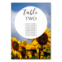 Sonnenblume Blue Sky Rustic Wedding Guest Names