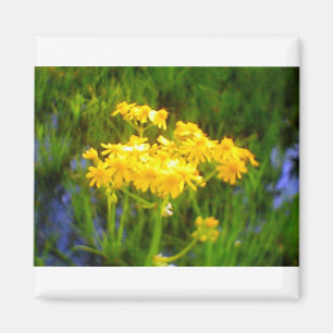 Sonnenblume Blume Magnet