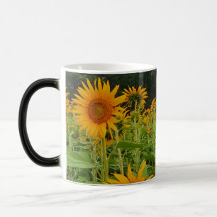 Sonnenblume-Blume Verwandlungstasse