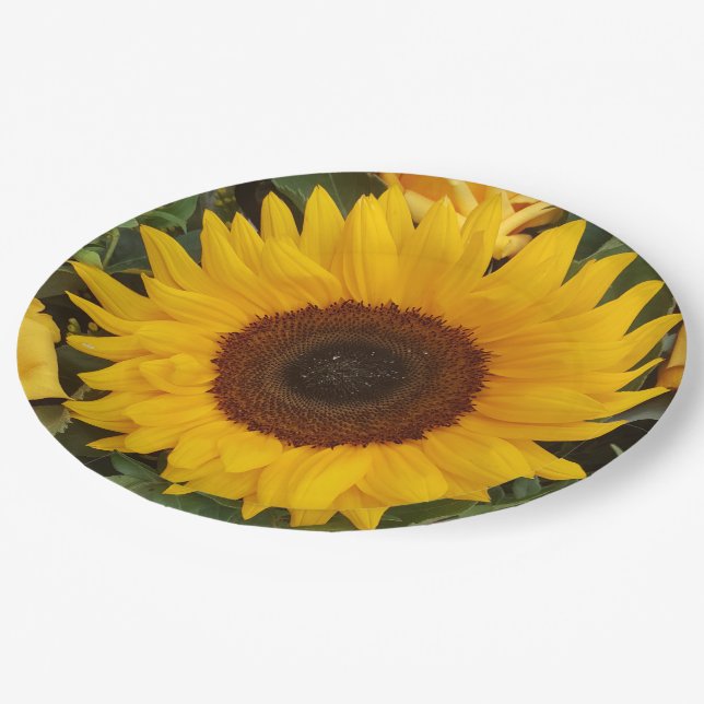Sonnenblume-Blumen-Blumenphotographie-Teller Pappteller (Schrägansicht)
