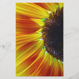 Sonnenblume Briefpapier