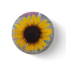 Sonnenblume