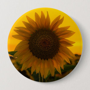 Sonnenblume 🌻 button