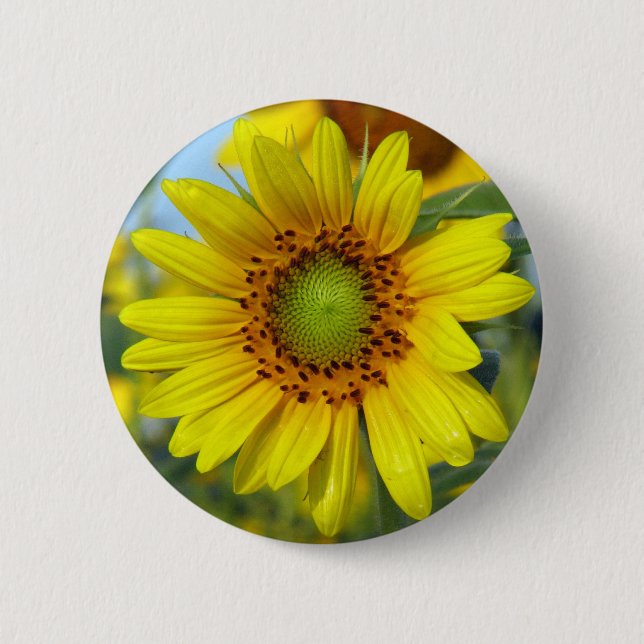 Sonnenblume Button (Vorderseite)