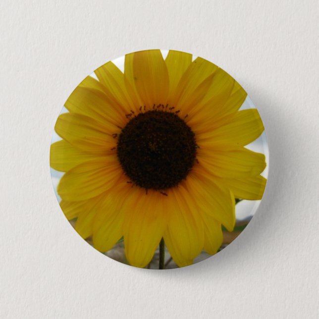 Sonnenblume Button (Vorderseite)