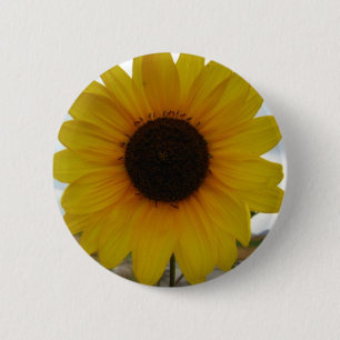 Sonnenblume Button