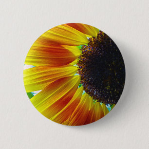 Sonnenblume Button