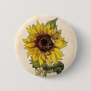 Sonnenblume Button