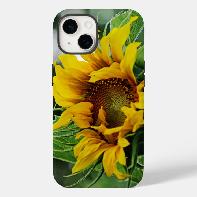 Sonnenblume Case-Mate iPhone 14 Hülle (Rückseite)