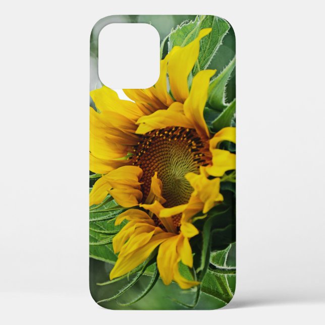Sonnenblume Case-Mate iPhone Hülle (Rückseite)