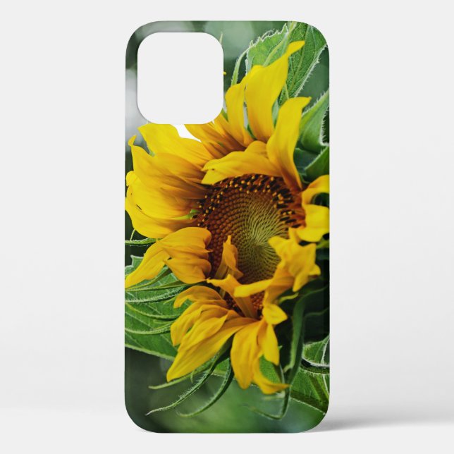 Sonnenblume Case-Mate iPhone Hülle (Rückseite)