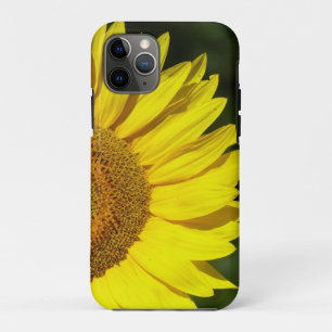 Sonnenblume Case-Mate iPhone Hülle