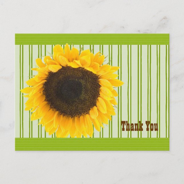 Sonnenblume Danke, dass ihr die Grenze und den Hin Postkarte (Vorderseite)