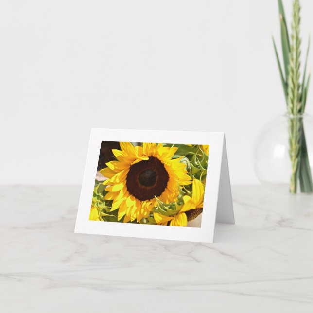 Sonnenblume danken Ihnen zu kardieren Dankeskarte (Vorderseite)