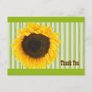 Sonnenblume Dankeschön Streifenrand und Hintergrun Postkarte