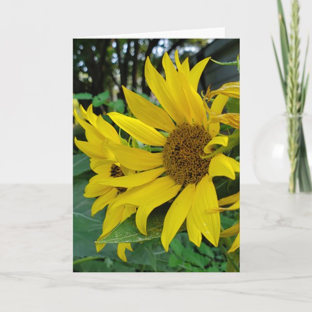 Sonnenblume Dankeskarte (Vorderseite)