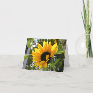 Sonnenblume @ der Garten der Kinder Karte