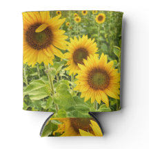Sonnenblume