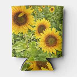 Sonnenblume dosenkühler