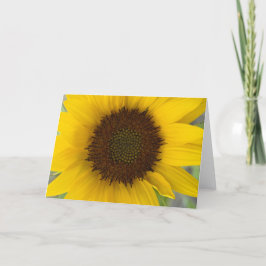 Sonnenblume-Dunkelheits-Mitte Karte