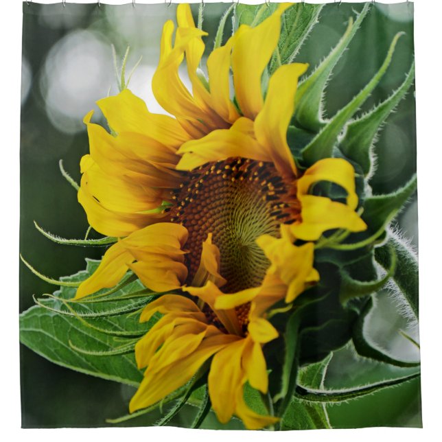 Sonnenblume Duschvorhang (Vorderseite)
