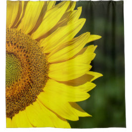 Sonnenblume Duschvorhang