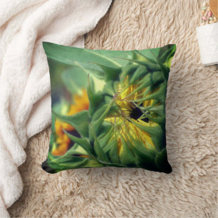 Sonnenblume entfaltet sich kissen