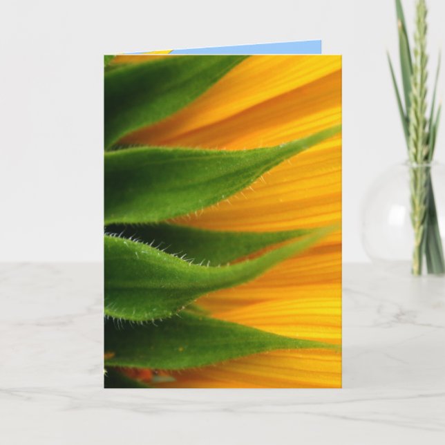 Sonnenblume erhält Brunnen-Karte Karte (Vorderseite)