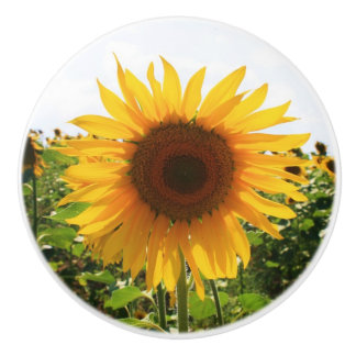 Sonnenblume-Fach-Zug Keramikknauf