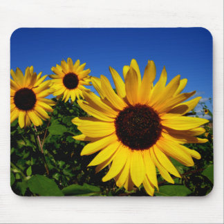 Sonnenblume-Feld Mousepad